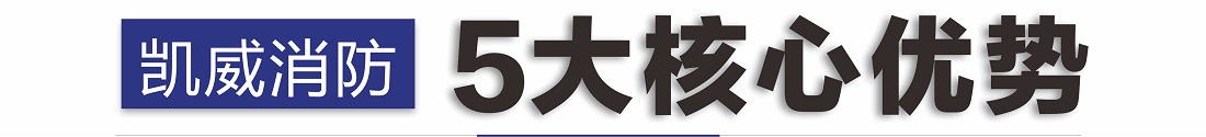 5大核心優(yōu)勢(shì)